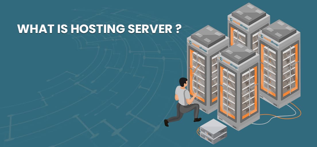 difference between domain and host